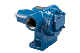 Motivo™ Motor Speed Internal Gear Pump