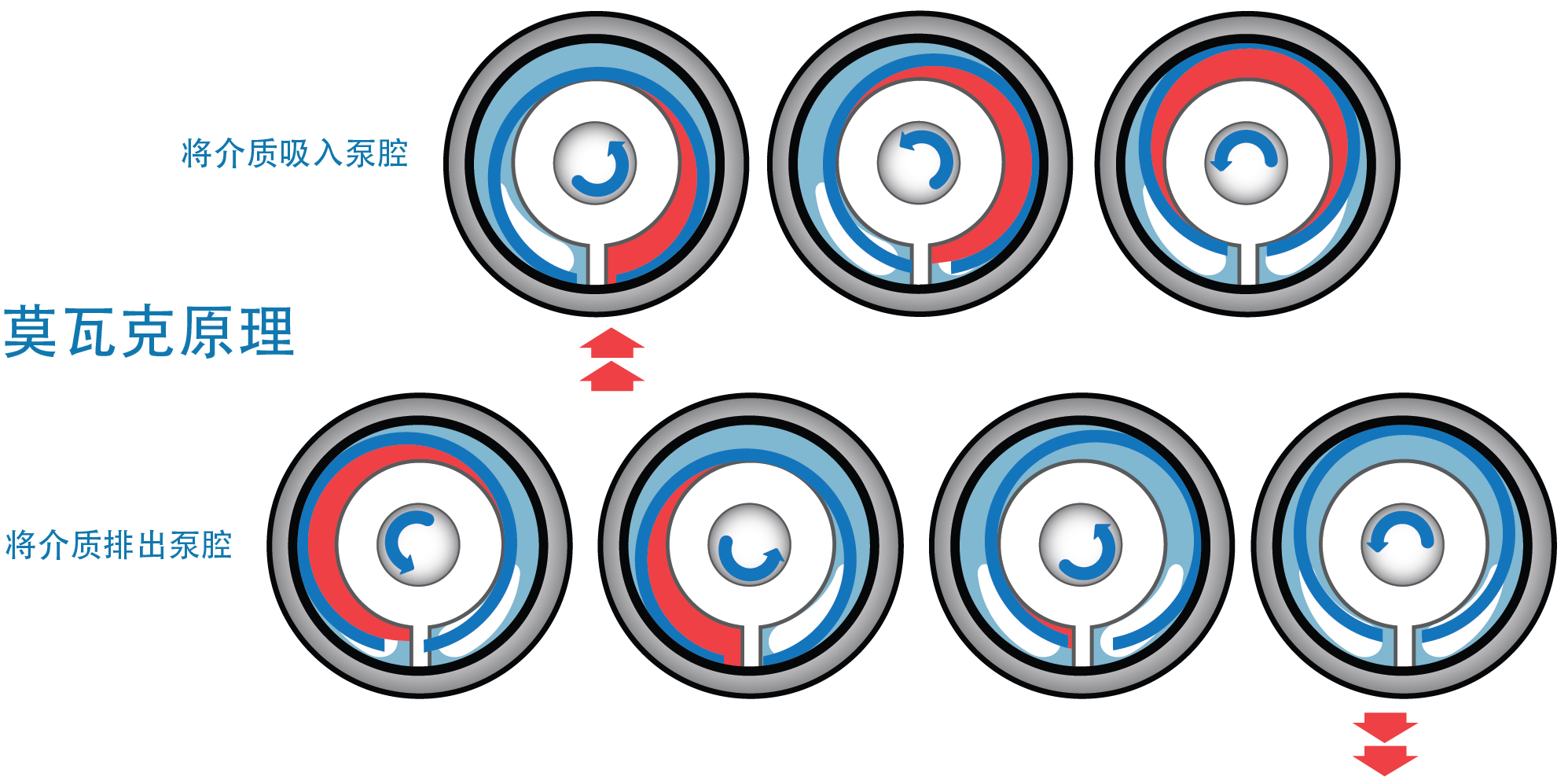 Mouvex_Principle_CN