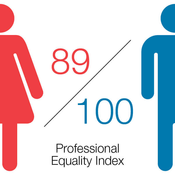 Equality Index Graphic - EN