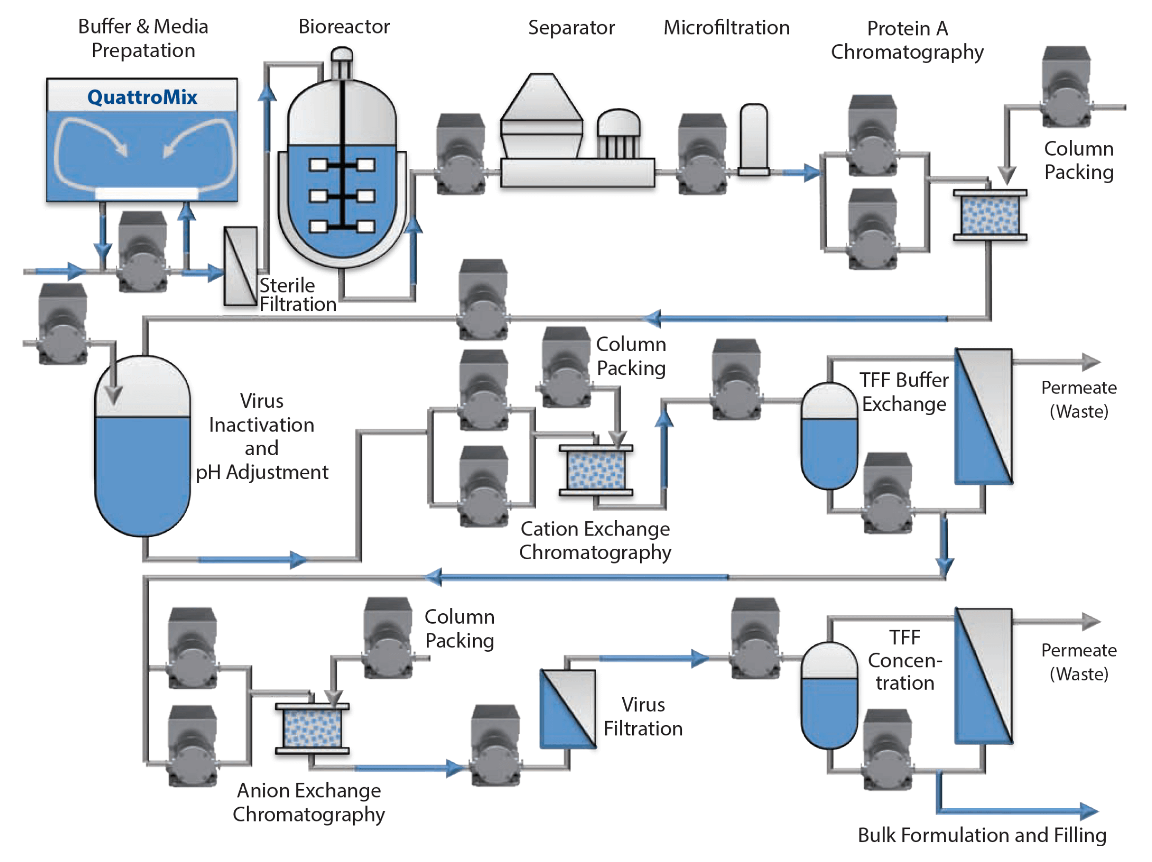 BioPharma Processing Chart